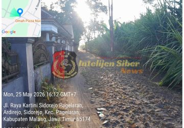 Perjudian 303 PAL Sabung Ayam di Ds Sidorejo Pagelaran Kab.Malang Diduga Kebal Hukum