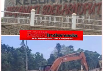 Dalang Perusakan Kebun Raya Ratatotok Masih Bebas, Kiki Mewo Diduga Kebal Hukum