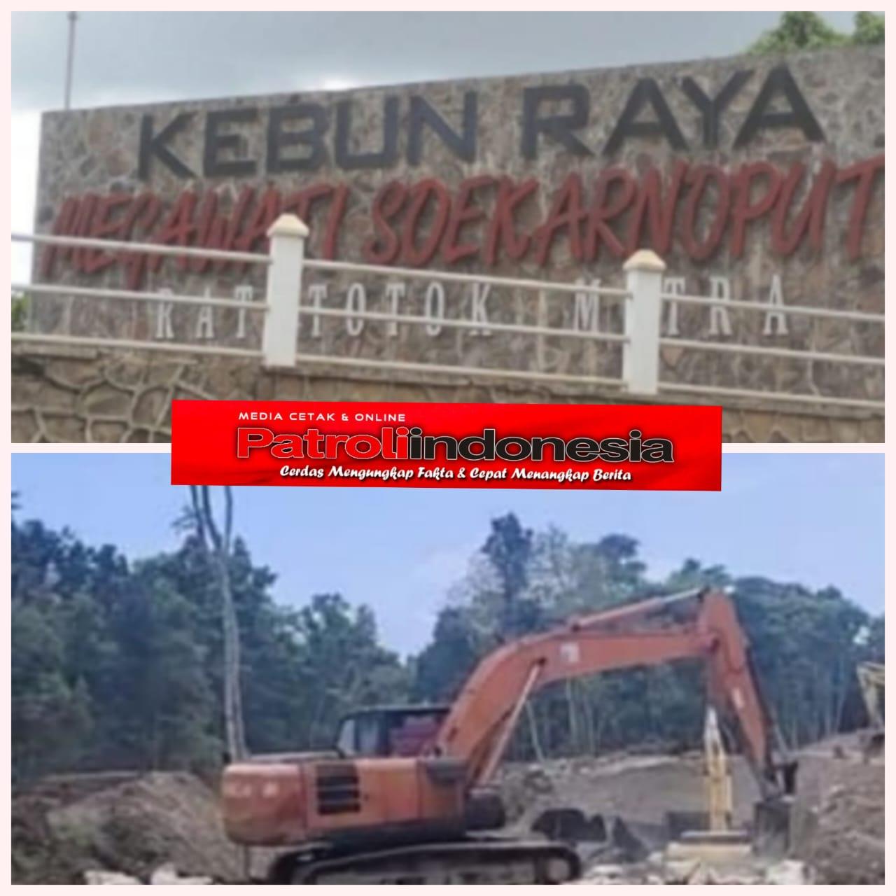 Dalang Perusakan Kebun Raya Ratatotok Masih Bebas