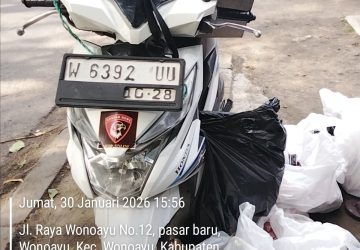 Diduga Dibekingi Oknum Media, Pedagang Rokok Ilegal di Wonoayu Merasa Kebal Hukum