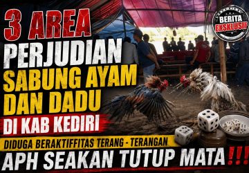 Teridentifikasi! 3 Zona Hitam Perjudian Sabung Ayam & Dadu di Kediri, Beroperasi Giliran