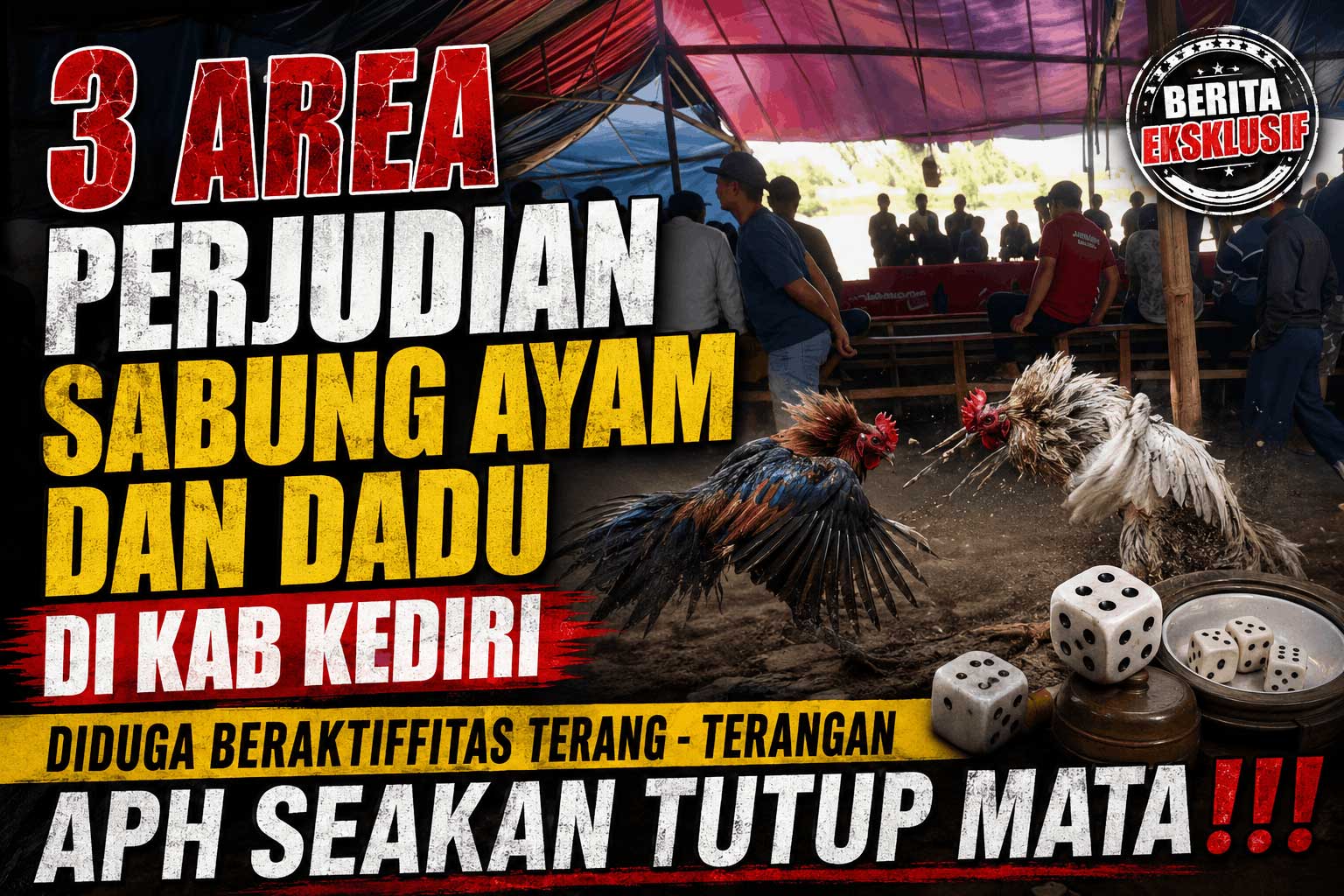 Teridentifikasi! 3 Zona Hitam Perjudian Sabung Ayam & Dadu di Kediri, Beroperasi Giliran