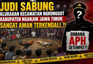 Judi Sabung Ayam di Kelurahan Ngronggot Kabupaten Nganjuk Jawa Timur Serasa Aman Terkendali. Dimana APH Setempat!!