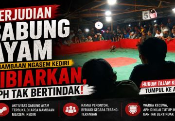 Sorotan untuk Aparat Dugaan Arena Judi Sabung Ayam Disebut Aktif di Nambaan