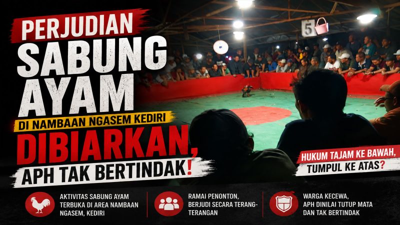 Sorotan untuk Aparat Dugaan Arena Judi Sabung Ayam Disebut Aktif di Nambaan