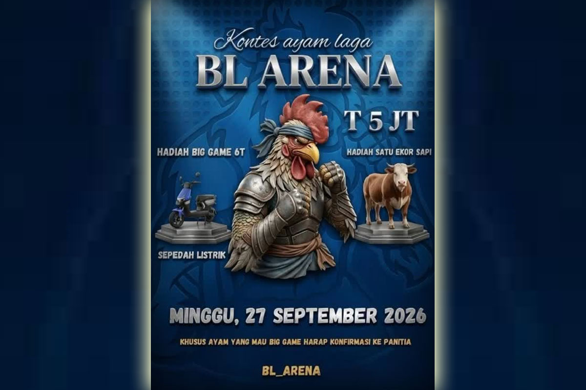 BL arena Perjudian Sabung Ayam Jember