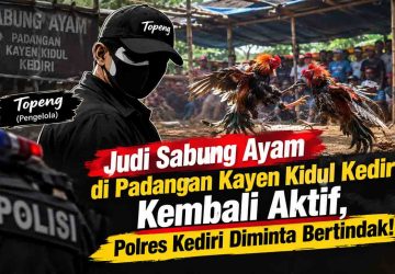 Padangan Kayen Kidul Jadi Sorotan: Judi Sabung Ayam Diduga Dikelola “Topeng”, Polres Kediri Dituntut Turun!