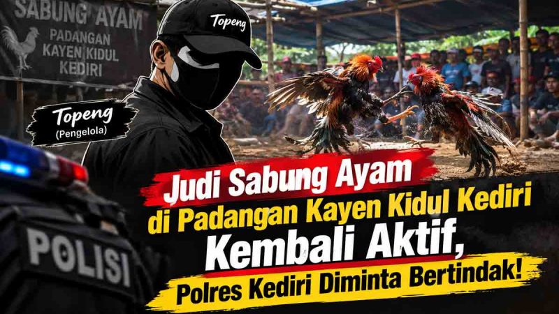 Padangan Kayen Kidul Jadi Sorotan: Judi Sabung Ayam Diduga Dikelola “Topeng”, Polres Kediri Dituntut Turun!