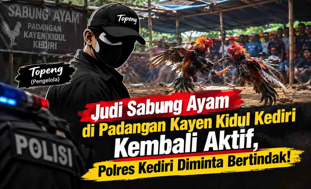 Judi Sabung Ayam di Padangan Kayen Kidul Kediri