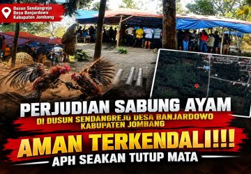 Dugaan Arena Sabung Ayam di Banjardowo Jombang Jadi Sorotan, APH Diharapkan Bertindak