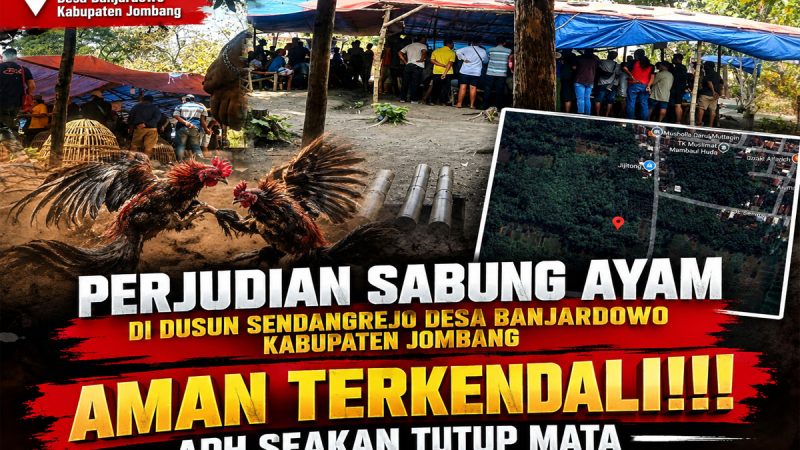 Dugaan Arena Sabung Ayam di Banjardowo Jombang Jadi Sorotan, APH Diharapkan Bertindak