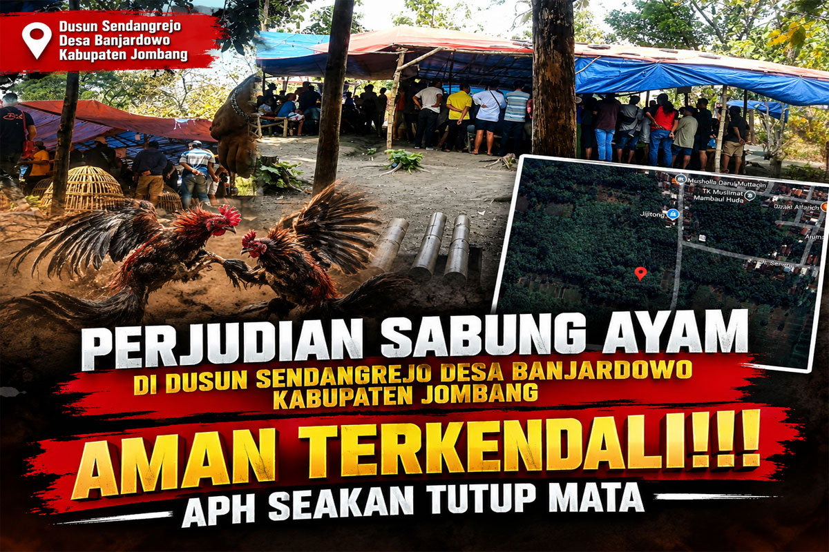 Perjudian Sabung Ayam Jombang