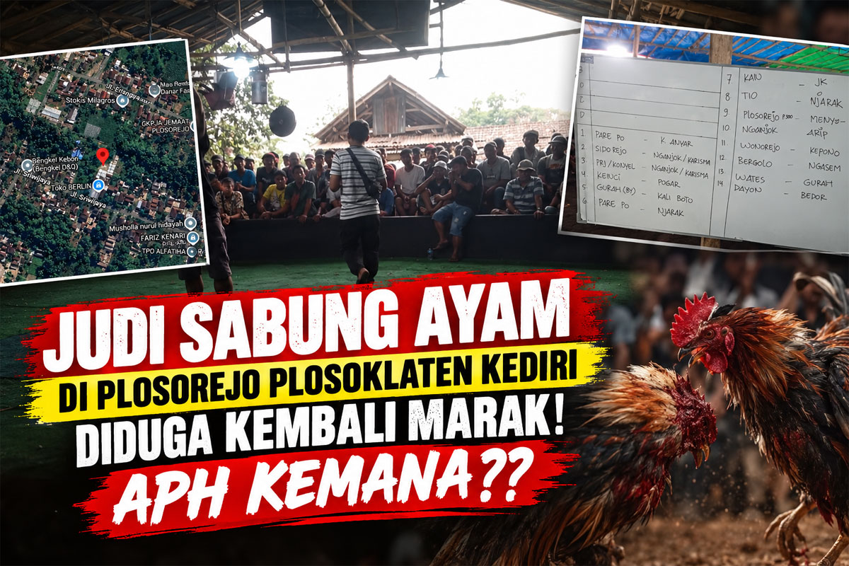 Judi Sabung Ayam di Plosorejo Plosoklaten Kediri