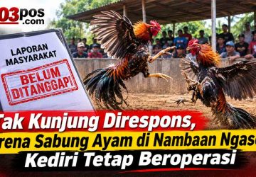 Tak Kunjung Direspons, Arena Sabung Ayam di Nambaan Ngasem Kediri Tetap Beroperasi